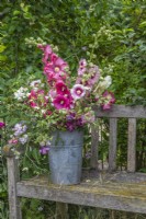 Alcea rosea displayed in metal bucket with Clematis and Lathyrus on wooden bench