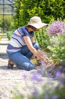 Woman cutting back dead grass in garden