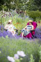 Women sitting in chairs chatting in the garden