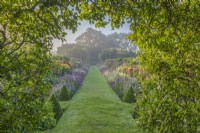 View through an apple arch along a mown grass path with double borders of mixed Dahlias and Salvia horminum varieties flowering in a formal country garden in Summer - August