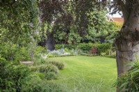View across lawn with trees and borders and Taxus baccata hedging