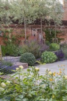Walled courtyard garden with sandstone paving, screening pleached Pyrus salicifolia 'Pendula' and small dry borders