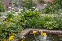 Small rectangular brick lined pool with bubble fountains and yellow and white planting scheme - Zantedeschia Aethiopica; Geums; Hostas; Astrantia and roses