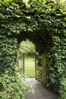 Decorative gate in a beech hedge