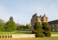 Elaborate Yew topiary shapes in the Crathes Castle Walled Garden.