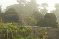 Elaborate Yew topiary shapes in the Crathes Castle Walled Garden.