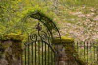 An iron gate and moss covered stone wall at the entrance to the Woodland Garden from the Crathes Castle Walled Garden.