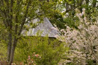 Prunus blossom around the slate roof of the doocot in the Crathes Castle Walled Garden.