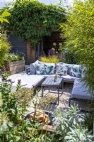 Sofa with patterned cushions in gravel garden next to bamboo and inbetween raised beds with summer house behind