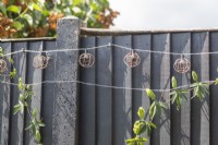 Hanging lights strung up on a fence