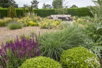 Gravel garden with seating area and evergreen hedging.  Planting includes Hebe rakiensis; Salvia nemerosa 'Rose Queen'; Miscanthus sinensis 'Yakuhima Dwarf'; Lavandula; and Achillea 'Moonshine'