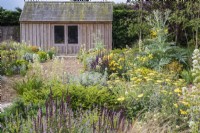 Wooden shed in gravel garden with mixed planting including: Lonicera nitida 'Maigrum'; Cardoon; Artemisia 'Powis Castle'; Achillea 'Moonshine