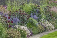View of an informal late Summer flowering border with Dahlias and other perennials - August