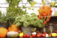 Display of harvested produce, including mixed winter squash, tomatoes and Ammi majus.