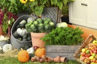 Display of harvested parsley, mixed winter squash and pumpkins, ornamental cabbages and tomatoes.