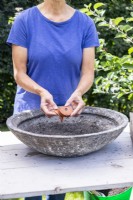 Woman placing crocks in the shallow container