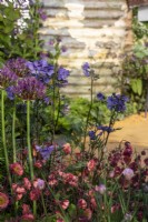 Pink and purple perennial planting - RHS Malvern Spring Festival 2023 - Bee Positive, Bee Kind, Bee Aware - Designers Rick Ford, Katie Gentle