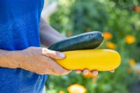 Woman holding a pair of Courgettes