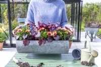 Woman holding metal trough planted with Osteospermum and Heuchera