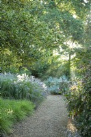 View along gravel path next to bed of ornamental grasses at Knoll Gardens in Dorset
