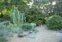 The Gravel Garden at Knoll Gardens in Dorset.