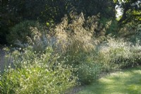 View of a perennial border at Knoll Gardens, Dorset