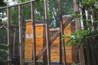 Beehives under lock and key in enclosure protected by black netting in summer.
