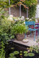 Small rectangular pool with waterlilies set within patio area with scaffold pole supports and containers of Agapanthus and succulents, Hydrangea 