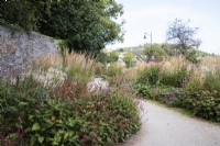Mixed perennials dominated by Persicarias with Calamagrostis x acutiflora 'Overdam'. White gravel path. August