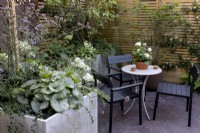 Seating area in corner of a contemporary garden, privacy from wood boundary fence and a raised bed of variegated Brunnera and other perennials