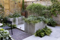 Paved courtyard with raised beds in matching material, a small bed of ferns. The space enclosed by a contemporary wood boundary fence.