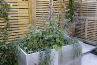 A raised bed filled with mixed perennials against a wood boundary fence.