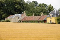 View to the house from across a field of ripe Oats. August.