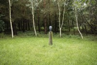 The Holloway Monument by Kelly Hunter . Head on wooden plinth. August. 
