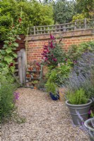 Gravel path along border with containers leading to tiered display with small potted succulents against wall