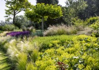 Garden design with ornamental grasses and perennials, summer August