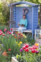 Woman reading a magazine in a covered bench in spring garden with tulips.
