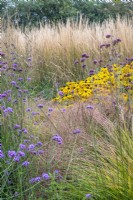 Prairie style borders with grasses and perennials.  Plants include bonariensis, Calamagrostis 'Karl Forster', Anemonthele and Rudbeckia fulgida var. deamii