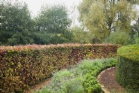 Shaped hedges of Fagus sylvatica 'Purpurea' and Taxus baccata with mixed Salvia planting.