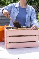 Woman filling wooden crate with compost