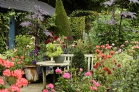 Colourful country garden in August with pelargoniums, ricinus and succulents.