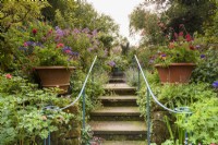 Steps leading between lushly planted borders framed by swirling metal handrails, in an August garden