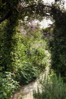 Path through a lush summer garden in Dorset