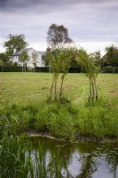 Woven willow arch beside a pond in a rural garden in September