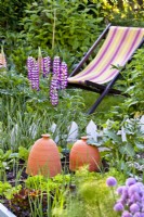 Vegetable bed in early summer with lupin and deckchair in background.