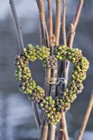 Heart shaped wreath of ivy berries.