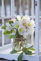 Christmas rose bouquet in glass vase within a small glass house.