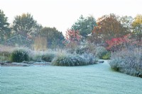 Frost covered lawn and grasses at Ellicar Gardens