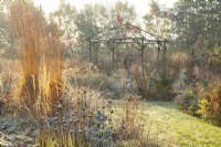 Rustic coppiced ash gazebo surrounded by backlit ornamental grasses and perennials in frost.