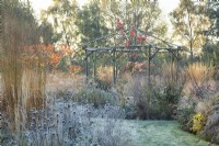 Rustic coppiced ash gazebo surrounded by ornamental grasses and perennials in frost 